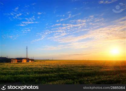 Landscape of farm buildings being lit by rising sun over rapeseed crop field