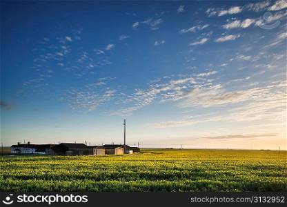 Landscape of farm buildings being lit by rising sun over rapeseed crop field