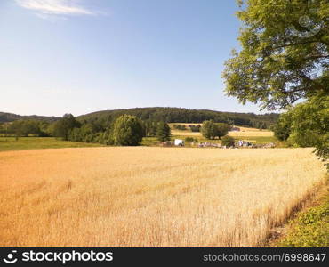 Landscape of field and hills of Wiezyca, Kashubian region in Poland. Agriculture and exploration concept.. Landscape of field and hills of Wiezyca, Kashubian region in Poland.