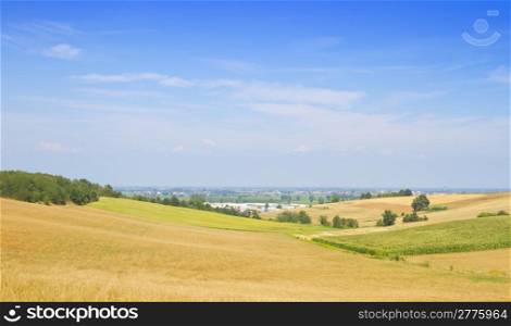 Landscape of fields under a blue cloudy sky