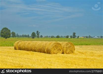 Landscape of fields, with hay bales in ordered rows