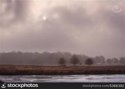 Landscape of forest in fog during Winter Autumn Fall