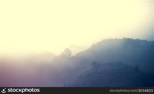 Landscape of forest mountains among mist . Landscape of forest and mountains among mist