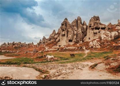 Landscape of Goreme fairy chimneys , Cappadocia. Nevsehir Province. Turkey.