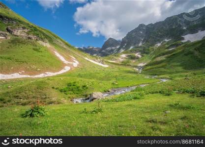 Landscape of green valley in mountain. Composition of nature.