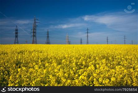 Landscape of high voltage posts in rapeseed field