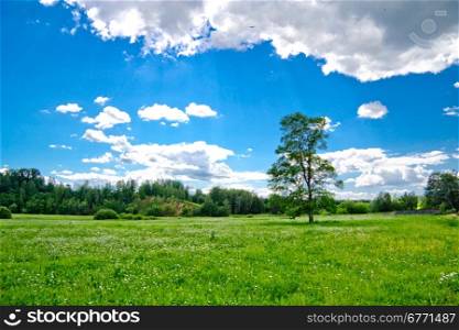 Landscape of hill and meadow near russian village