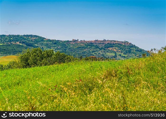 Landscape of hilly tuscany with the field of flowers and the beautiful hill top city of Montalcino in Italy