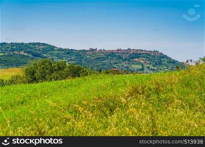 Landscape of hilly tuscany with the field of flowers and the beautiful hill top city of Montalcino in Italy