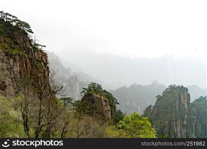 landscape of Huangshan mountain (Yellow mountain), Anhui, China with a black birds