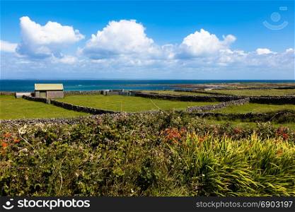 Landscape of Inish more the main Aran island