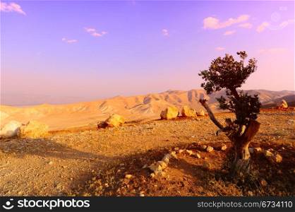 Landscape Of Judea Mountains Near Dead Sea. Sunset.