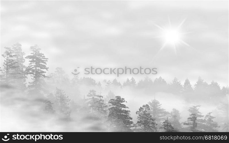 Landscape of misty forest at sunrise - concept of mystery