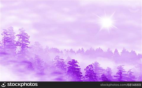 Landscape of misty forest at sunrise - concept of mystery - purple