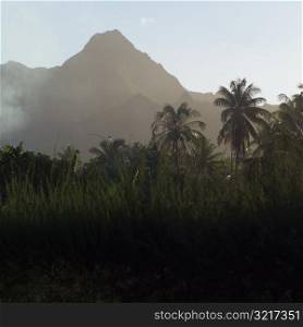Landscape of Moorea in Tahiti