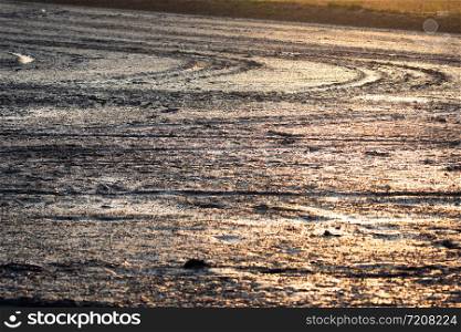Landscape of mud in rice paddy field with natural sunlight in the morning.