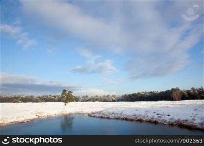 landscape of nature in the netherlands with snow and frozen pond near zeist