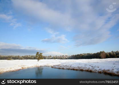 landscape of nature in the netherlands with snow and frozen pond near zeist