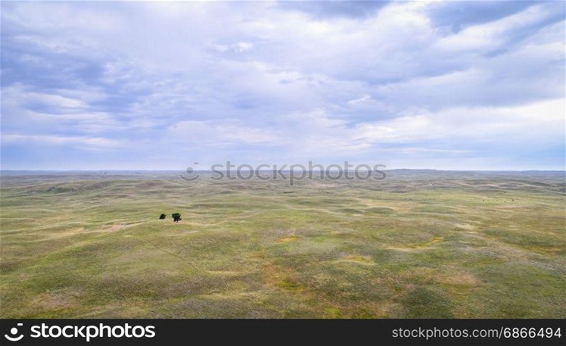 landscape of Nebraska Sandhills with two lonely trees, aerial view