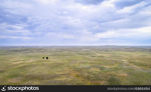 landscape of Nebraska Sandhills with two lonely trees, aerial view