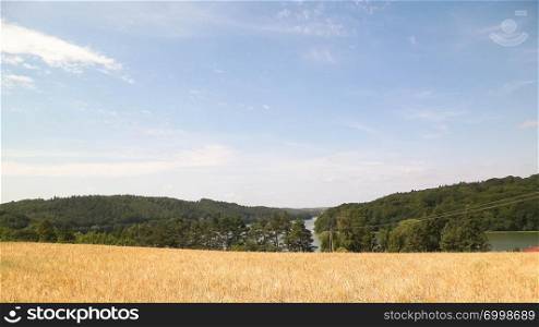 Landscape of oat field and Ostrzyckie lake, Wiezyca, Kashubian Region, Poland. Nature and agriculture concept.. Landscape of oat field and Ostrzyckie lake, Wiezyca, Kashubian Region, Poland.