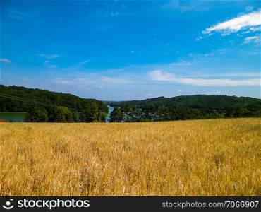 Landscape of oat field and Ostrzyckie lake, Wiezyca, Kashubian Region, Poland. Nature and agriculture concept.. Landscape of oat field and Ostrzyckie lake, Wiezyca, Kashubian Region, Poland.