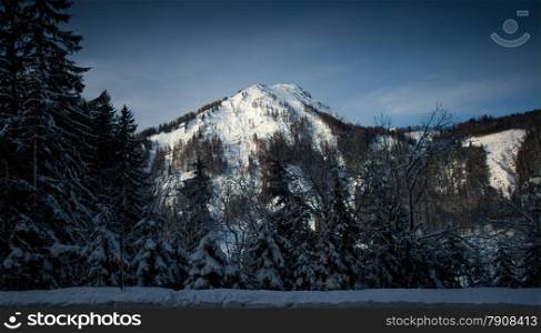 Landscape of old dark forest growing on high Austrian Alps