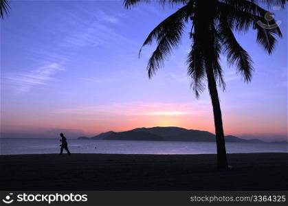 Landscape of palm tree and island silhouette on beach at sunrise