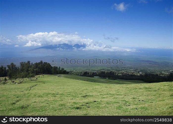 Landscape of Poli-Poli, Upcountry Maui, Hawaii, USA.