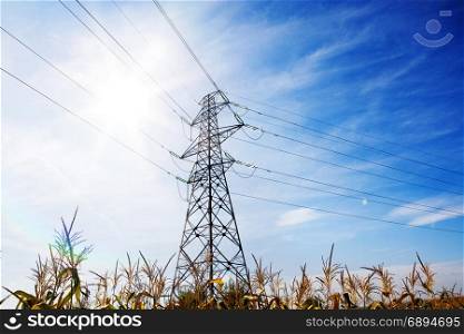 Landscape of Power Line of the Electric Wires at the Blue Sky on the Corn Field