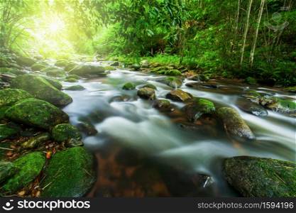 Landscape of pure cascade in a tropical rainforest at sunrise, lush foliage green tropical plants, moss and lichen growing in the rocks and stones on the cascade. Rain season. Long exposure.