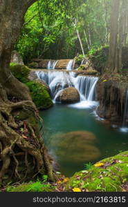 Landscape of pure tropical waterfall on rainy morning, a big tree and lush green plants growing by the waterfall. Kanchanaburi, Thailand.