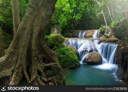 Landscape of pure tropical waterfall on rainy morning, a big tree and lush green plants growing by the waterfall. Kanchanaburi, Thailand.