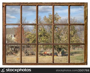 Landscape of residential area in northern Colorado with meadow, old apple tree, pumpkins and distant house, window view of November scenery.