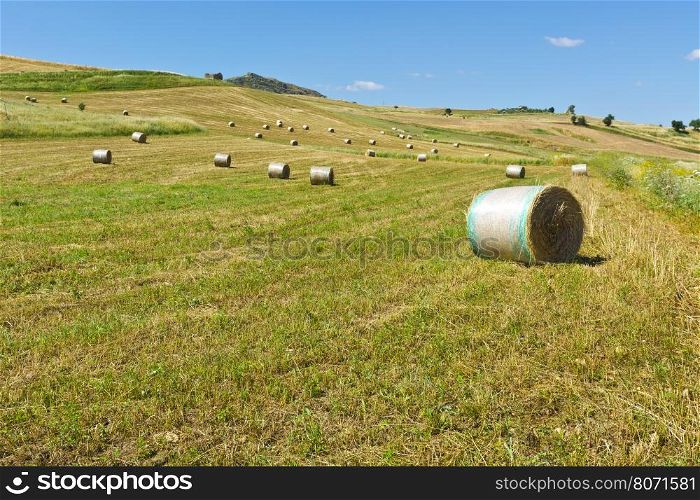 Landscape of Sicily with Many Hay Bales