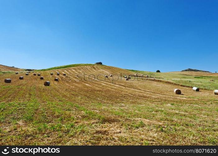 Landscape of Sicily with Many Hay Bales