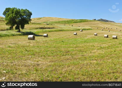 Landscape of Sicily with Many Hay Bales