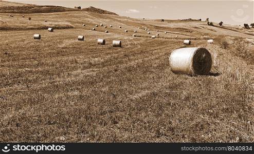 Landscape of Sicily with Many Hay Bales, Vintage Style Sepia