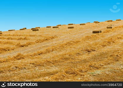 Landscape of Sicily with Many Hay Briquettes