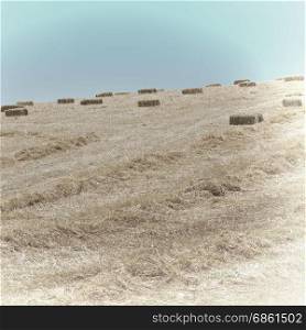Landscape of Sicily with Many Hay Briquettes, Retro Image Filtered Style