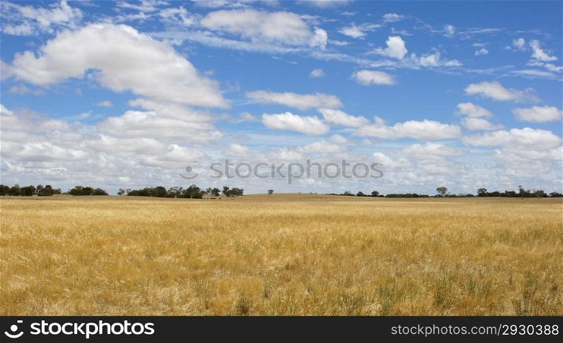 Landscape of South Australia, Australia