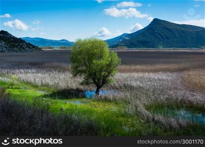 Landscape of Stymfalia Lake in Peloponnese, Greece
