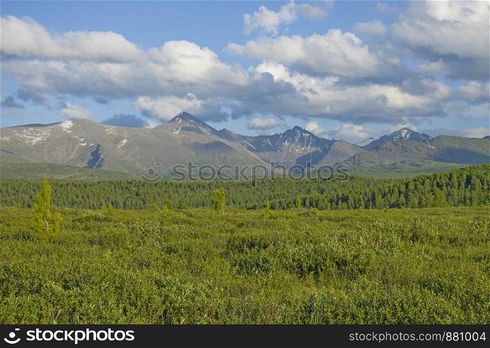 Landscape of taiga against the background of the high mountains of Altai in Russia