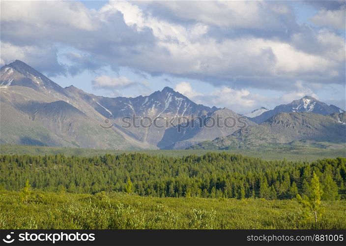 Landscape of taiga against the background of the high mountains of Altai in Russia
