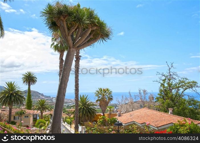 Landscape of Tenerife in the Canary Islands