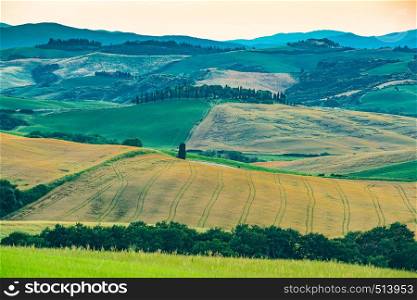 Landscape of the beautiful Tuscany hilly field in the summer evening at Valdorcia, Italy