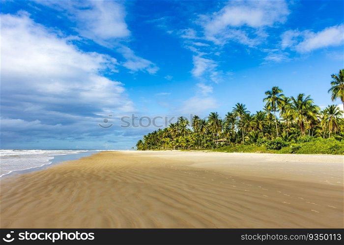 Landscape of the idyllic beach of Sargi with its coconut trees and sand meeting the sea in Serra Grande on the coast of Bahia, northeastern Brazil. Landscape of the idyllic beach of Sargi with its coconut trees