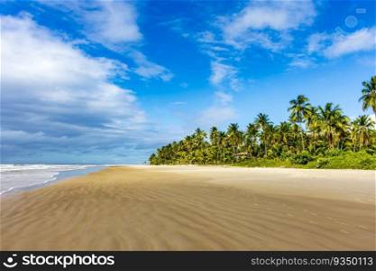 Landscape of the idyllic beach of Sargi with its coconut trees and sand meeting the sea in Serra Grande on the coast of Bahia, northeastern Brazil. Landscape of the idyllic beach of Sargi with its coconut trees