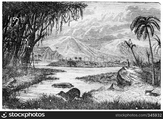 Landscape of the Miocene period in France, vintage engraved illustration. Earth before man ? 1886.