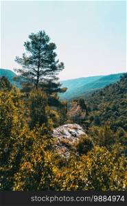 Landscape of the Prades mountains, in Tarragona, Spain. A sunny summer day with green trees